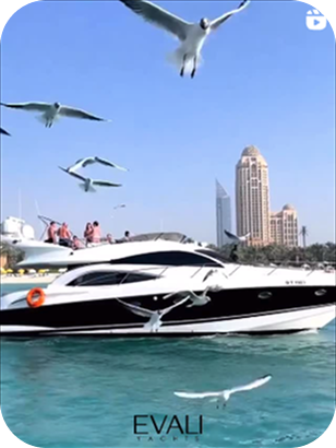 Birds Beside Yacht